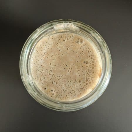 Bubbly Sourdough Starter