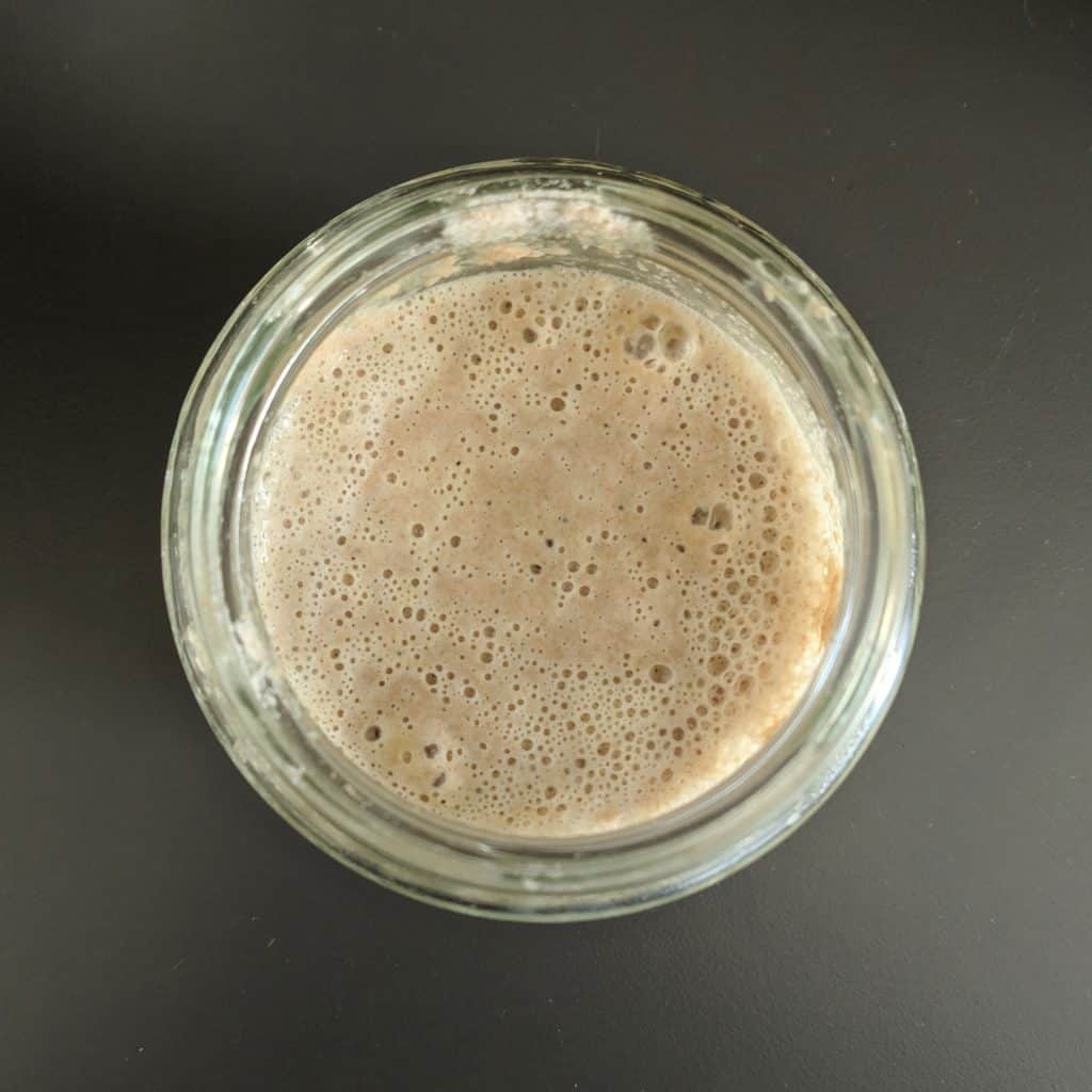 Bubbly Sourdough Starter